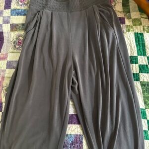 Express suede like joggers